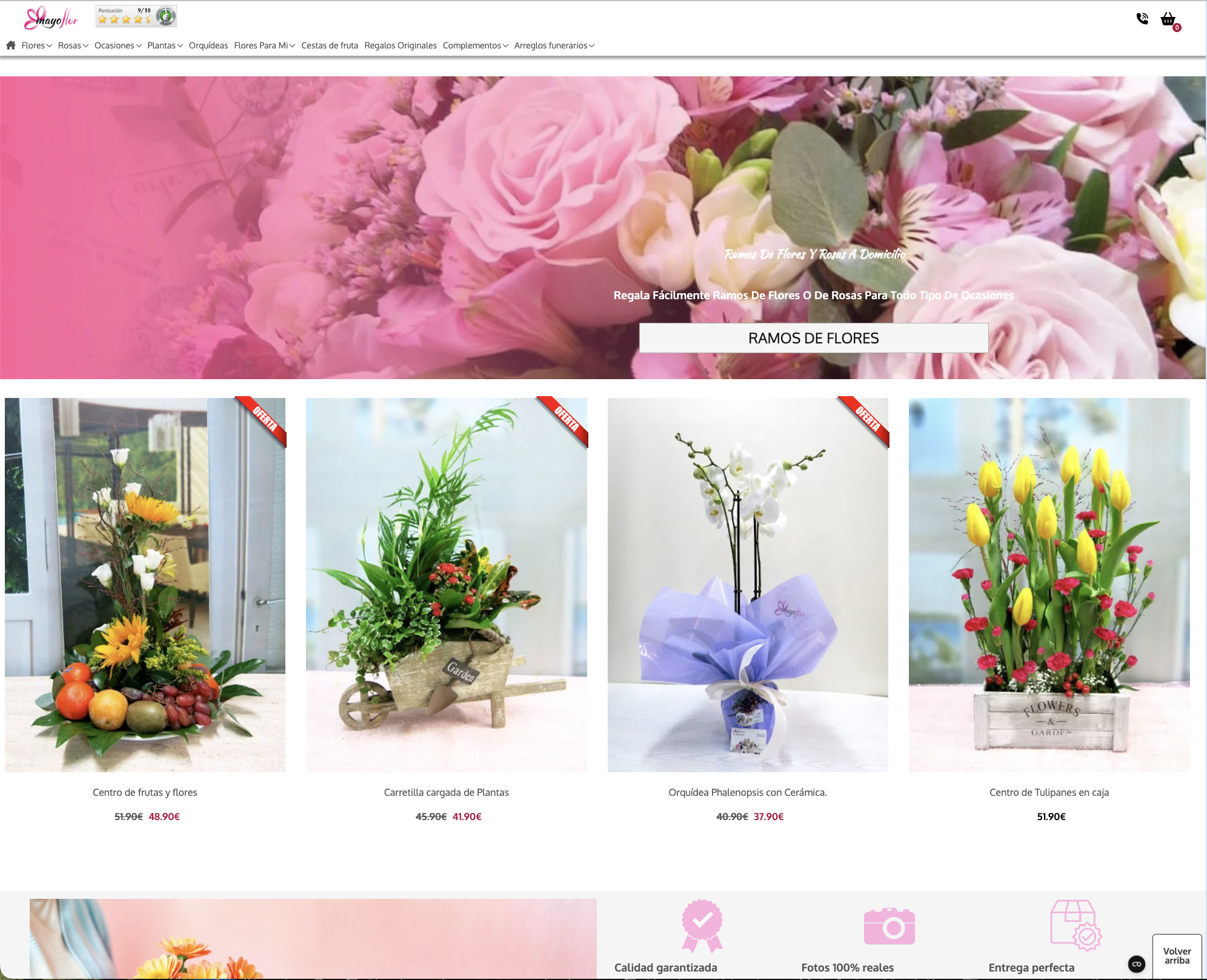 MayoFlor.com - eCommerce para minorista floristería, taller e importación